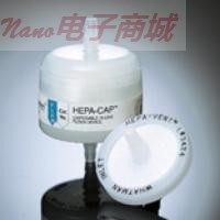 英国whatman 2609T HEPA-CAP 36在线气体过滤器