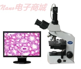 奥林巴斯 IX71-A12FL/PH 荧光倒置显微镜