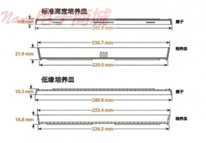 Nunc 240845 Bio-Assay 方形筛选培养皿