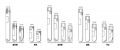 NUNC 378247 CryoTubes 冻存管盒