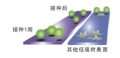 Nunc 174911 HydroCell 超低温细胞结合表面