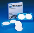 Whatman GF6 玻璃微纤维滤纸10370071 GF6 20X20MM 2500PK，0.3 -0.5μm 标准细颗粒物