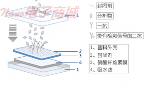 Whatman FT020渗滤膜10420002 FT020 300MMx600MM 10/PK，尺寸：300MMx600MM 孔径0.2um